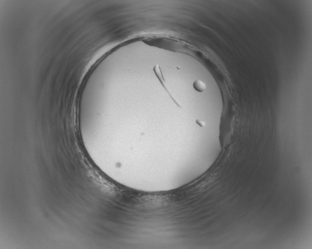 X0000076071044200610202009