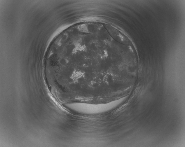 X0000076071045200610202009