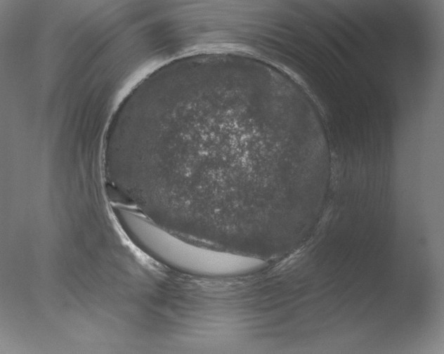 X0000076071046200610202009