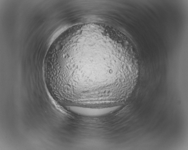 X0000076071047200610202009