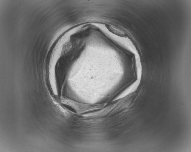 X0000076071048200610202009