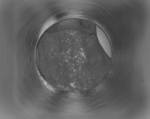 X0000076071050200610202009