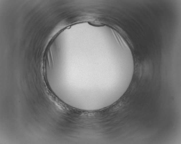 X0000076071051200610202009