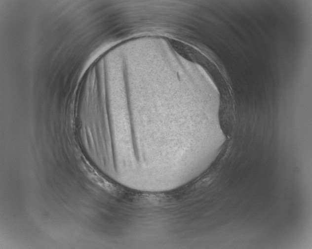 X0000076071052200610202009