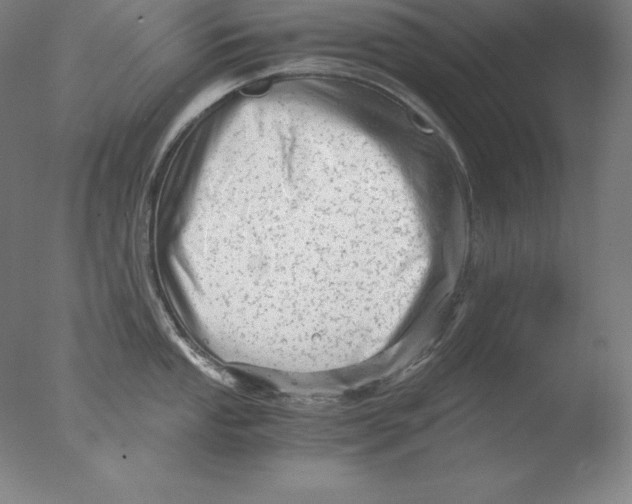 X0000076071053200610202009