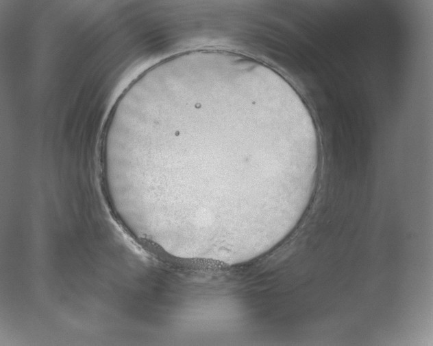 X0000076071056200610202009