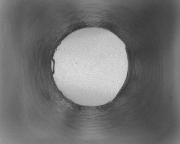 X0000076071057200610202008