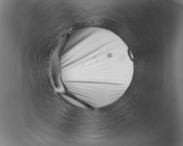 X0000076071058200610202008