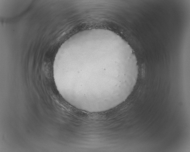 X0000076071059200610202008