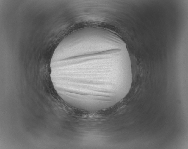 X0000076071061200610202008