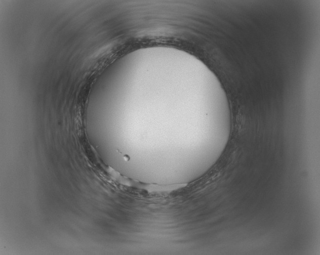 X0000076071062200610202008