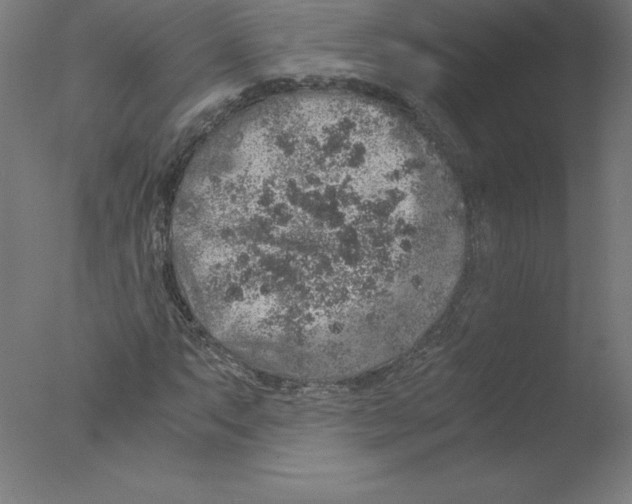 X0000076071063200610202008