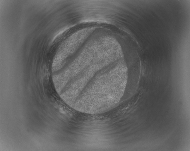 X0000076071064200610202008