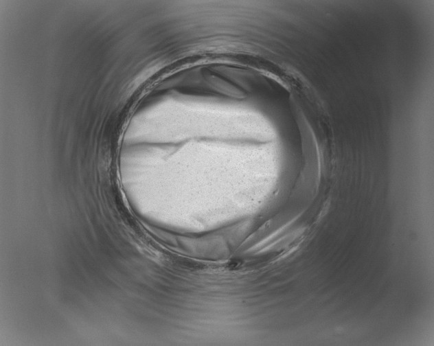 X0000076071065200610202008