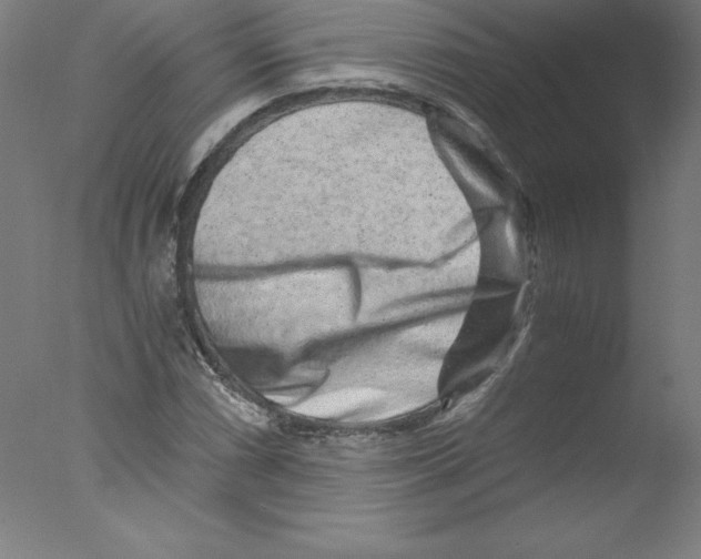 X0000076071066200610202008