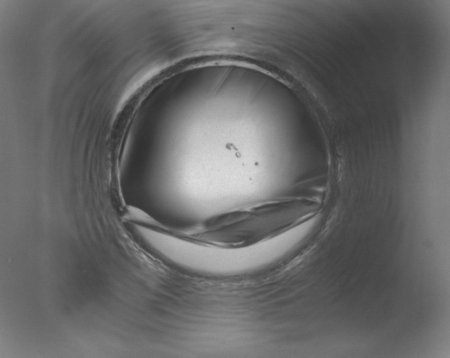 X0000076071069200610202008