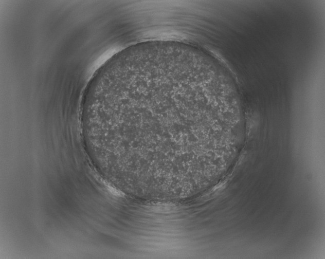 X0000076071071200610202008