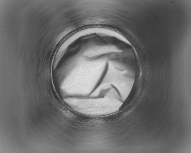 X0000076071073200610202008