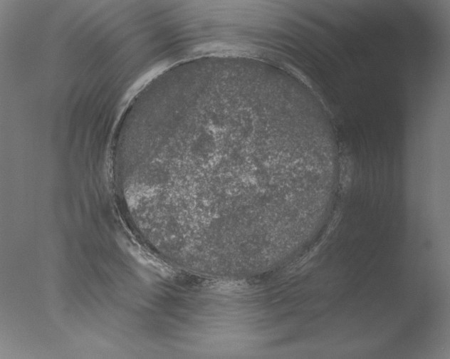 X0000076071074200610202008