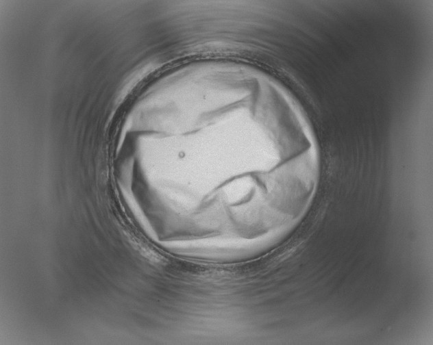 X0000076071075200610202008