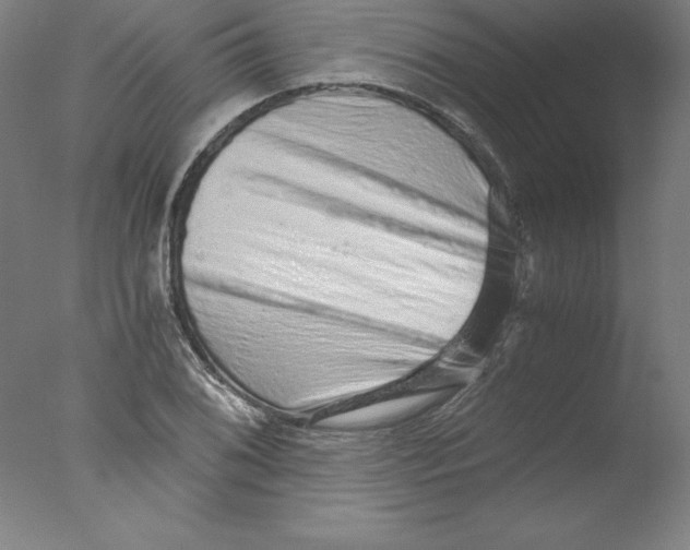 X0000076071076200610202008