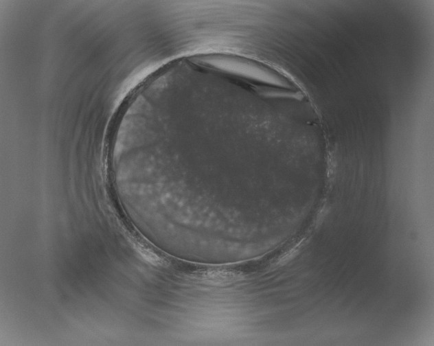 X0000076071077200610202008