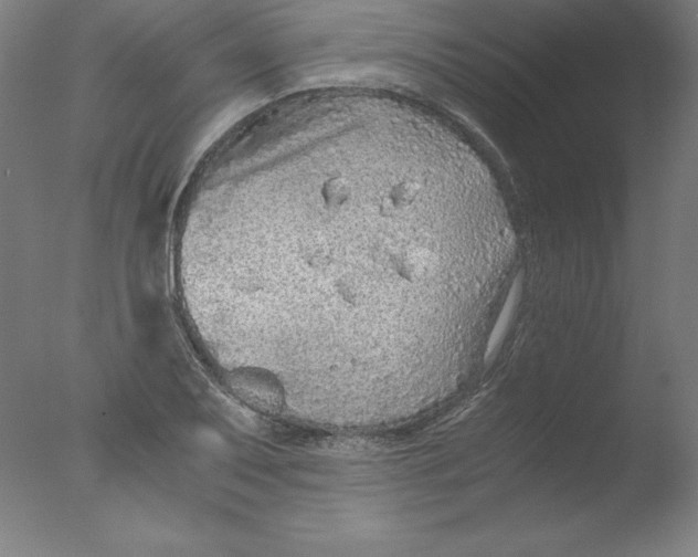 X0000076071079200610202008