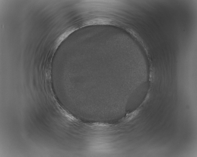 X0000076071081200610202008