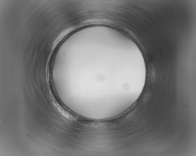 X0000076071082200610202008