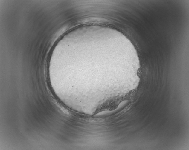 X0000076071083200610202008