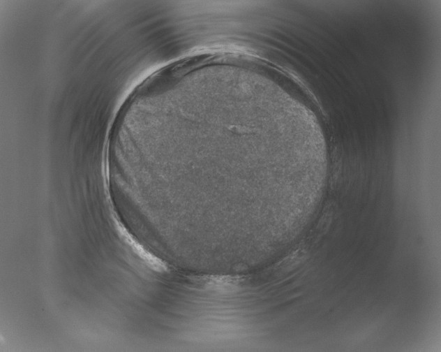 X0000076071084200610202008