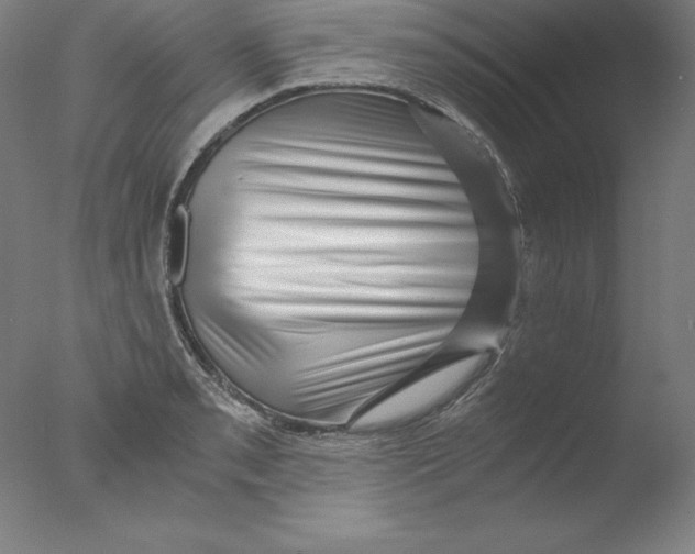 X0000076071085200610202008