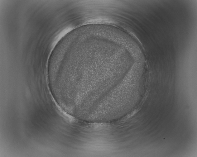 X0000076071087200610202008