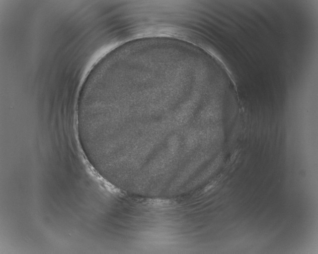 X0000076071088200610202008