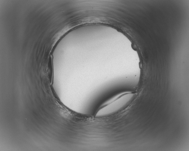 X0000076071089200610202008