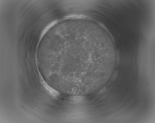 X0000076071090200610202008