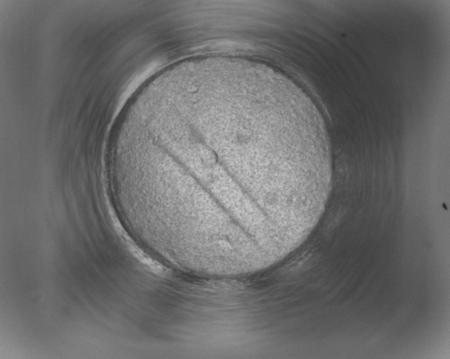 X0000076071091200610202008