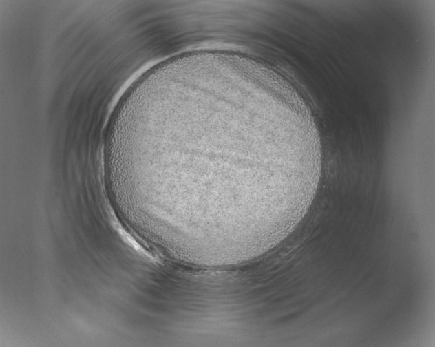 X0000076071092200610202008