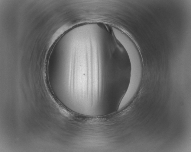 X0000076071093200610202008