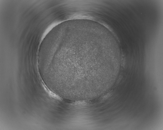 X0000076071094200610202008