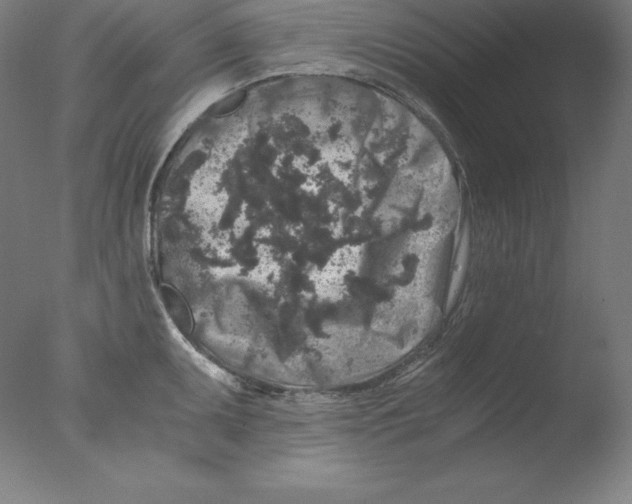 X0000076071095200610202008