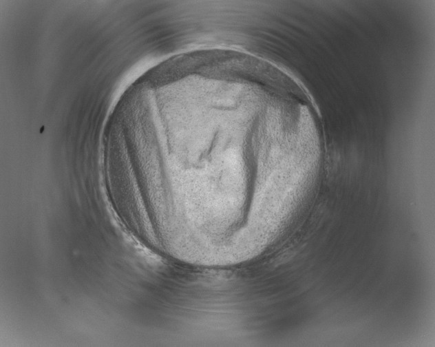 X0000076071096200610202008