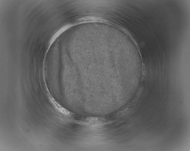 X0000076071098200610202008