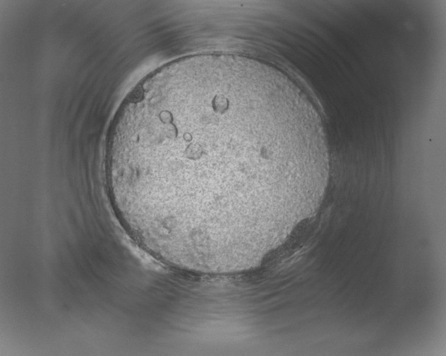 X0000076071099200610202008