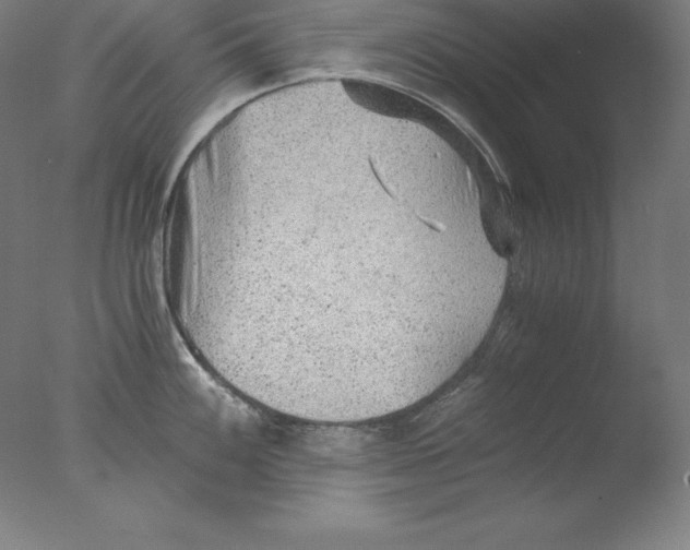 X0000076071100200610202007