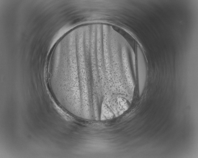 X0000076071101200610202007