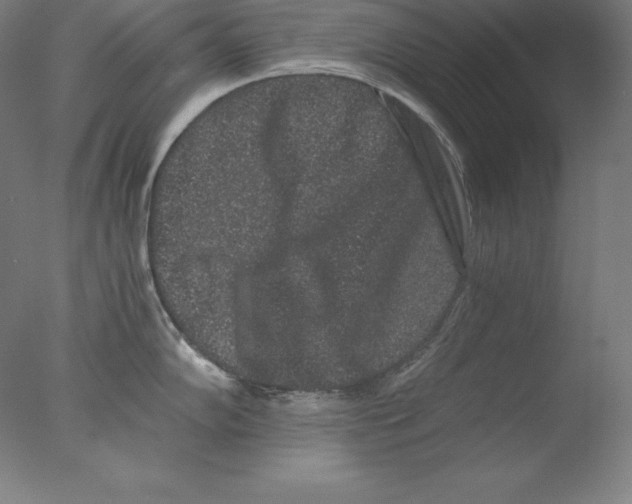 X0000076071102200610202007