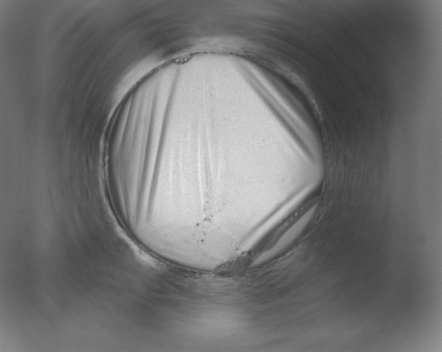 X0000076071103200610202007