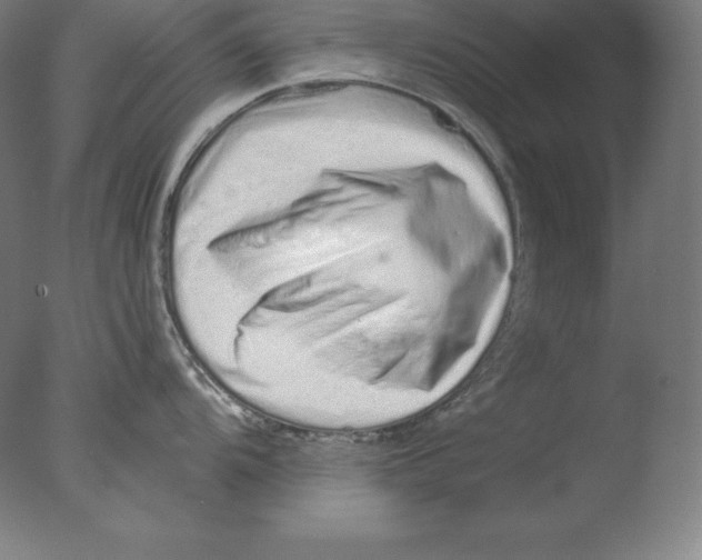 X0000076071104200610202007