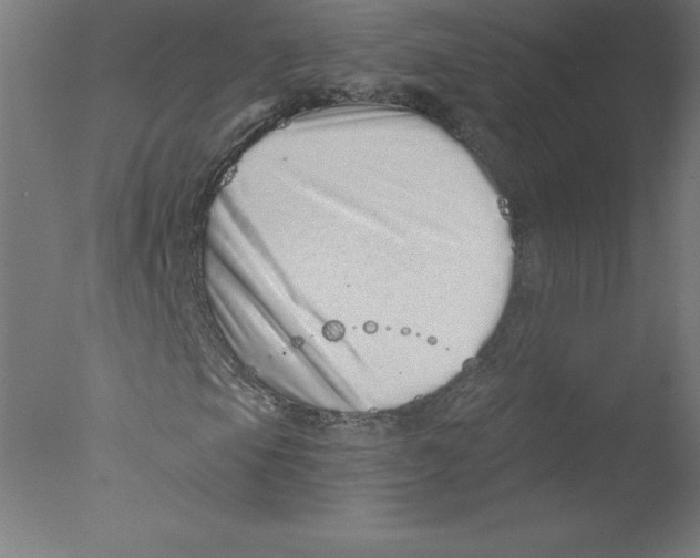 X0000076071105200610202007